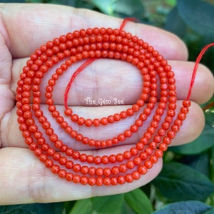 サルデーニャ島のサンゴ - Etsy 日本