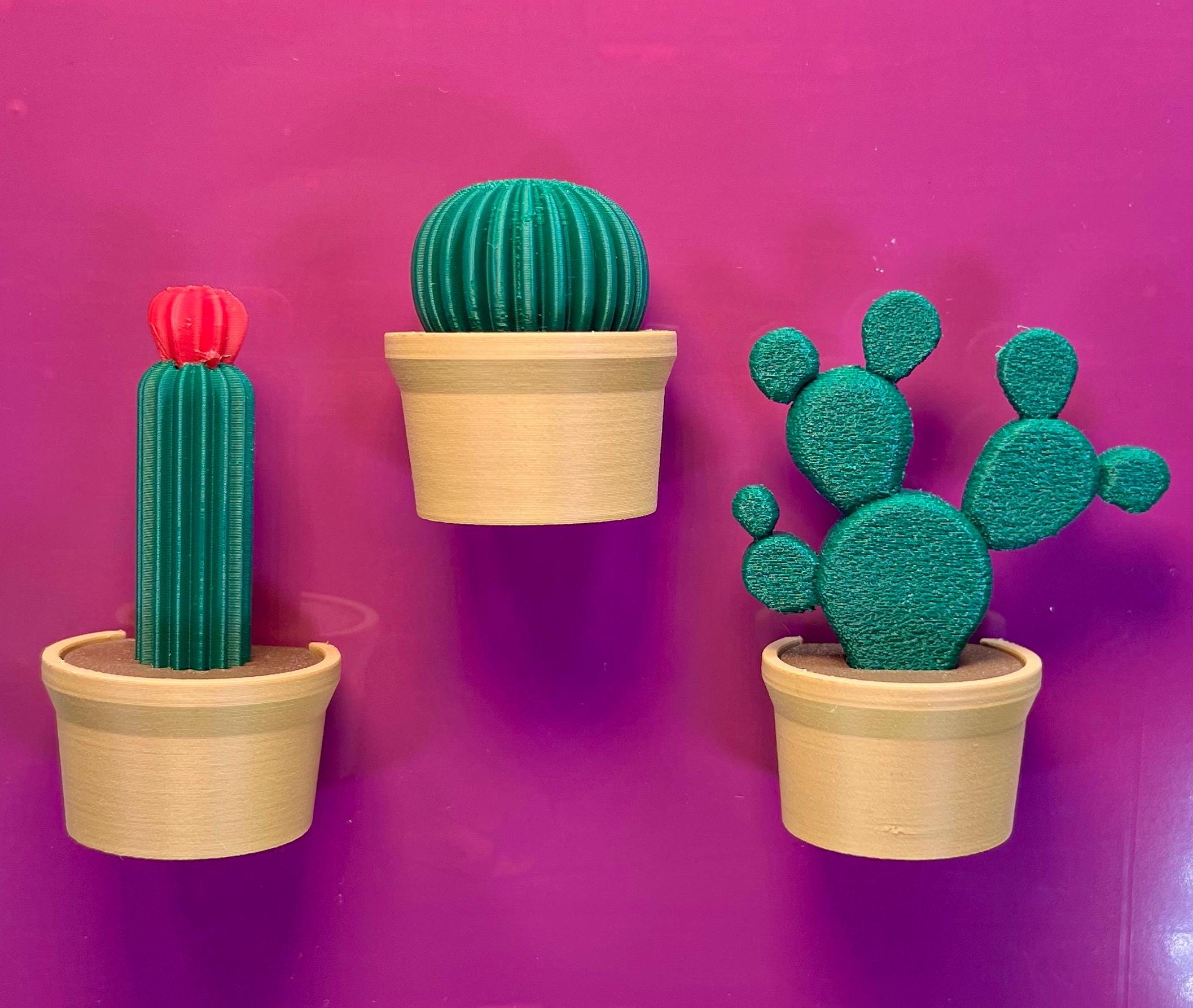 Charming Cactus Magnet Set - Etsy