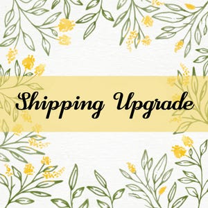 Shipping Upgrade Service