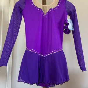 Purple Long Sleeve Competition/Test Skating Dress