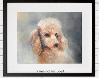 Print of Apricot Poodle Original Art - 8 by 10