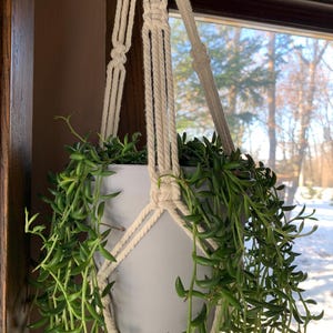 Plant Hangers - Macrame Plant Hanger - Wall Hangings - Cottage Home Decor - Plants - Plant Pots - Boho Home Decor - Whimsical Decor - Gifts