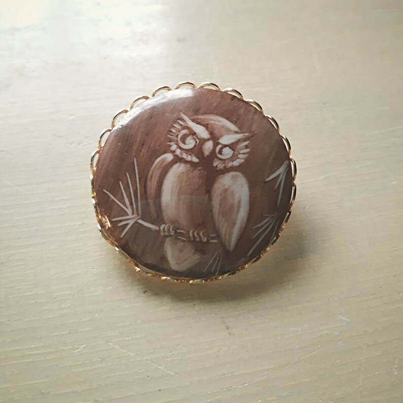 Op de afbeelding: Een bruine cameo broche met een gouden setting met een gedetailleerde gravure van een uil die op een tak zit.