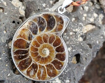 Fossilized Polished Ammonite Pendant on Brown Waxed and Hand Twisted Cord Necklace Unisex