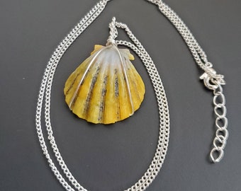 Authentic Hawaiian Sunrise Shell on Silver Plated Chain  OOAK