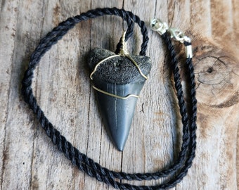 Large Fossilized Mako Shark Tooth on Black Hand Waxed and Twisted Hemp Cord Necklace Unisex Men's