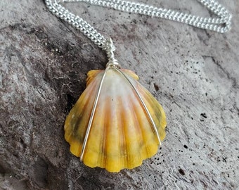 Authentic Hawaiian Sunrise Shell on Silver Plated Chain  OOAK #033