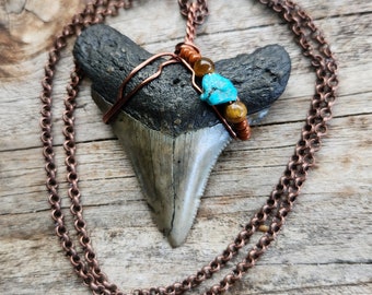 Brown Megalodon Fossil Shark Tooth Wire Wrapped Pendant with Turquoise and Tigers Eye Accent Beads on Copper Chain OOAK