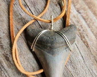 Fossilized Megalodon Shark Tooth Pendant on Brown Leather Cord Unisex OOAK Fossilized