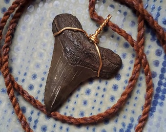 Fossilized Brown Megalodon Shark Tooth Pendant on Hand Waxed and Twisted Brown Cotton Cord Necklace Unisex Wire Wrapped Gold Plated