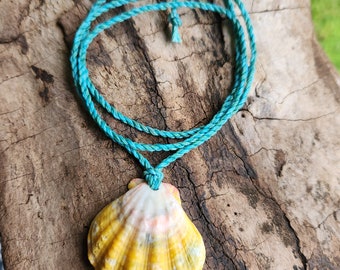 Authentic Large Hawaiian Sunrise Shell on Blue and Green Hand Waxed and Twisted Hemp Cord Necklace Adjustable