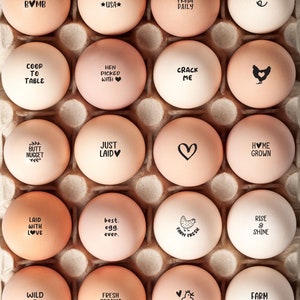 Laid on Egg Carton Date Stamp Egg Date Stamp Fresh Eggs Egg Carton Label  Chicken Lover Gift Idea Chicken Coop Farmhousemaven 