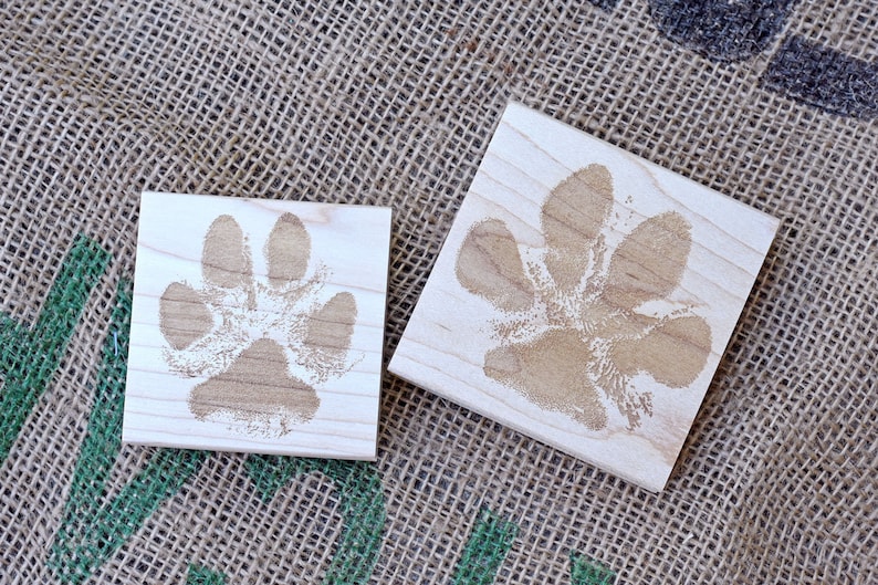 Paw Print Stamp, Dog Paw, Cat Paw, Personalized Pet Name Stamp, Pet Signature Stamp, Cat Mom Gift, Dog Mom Gift, Pet Lover Gift Idea image 6