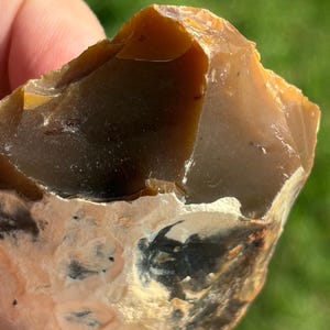 May include: A raw, unpolished stone specimen featuring a smooth, translucent brown top section with a glassy, conchoidal fracture. The lower portion displays a rough, textured surface with mottled patches of cream, black, and tan mineral deposits.