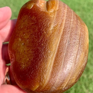 Columbia Basin Agate Nodule – Natural Flood-Polished, Whole Raw Specimen with Banding – 12.5 oz