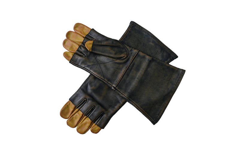 May include: A pair of black leather gloves with gold-colored fingertips. The gloves are folded in half, with the fingertips of one glove visible.