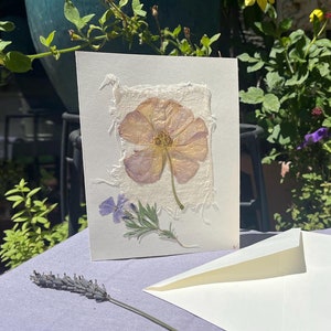 Cartão em branco feito à mão com flores prensadas 5x7 em cartolina, autêntico Ranúnculo de borboleta