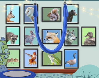 Sensorisches Raumposter- Set mit 13 beruhigenden Ecken Postern- Sensorisches Raumdekor- Beruhigende Tierdrucke- Für Kinderzimmer, Klassenzimmer, ABA-Therapy