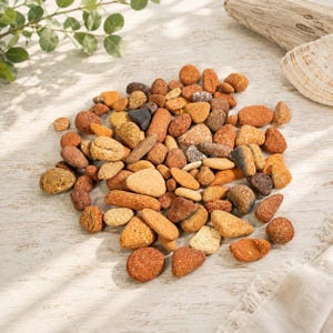May include: A collection of small, rounded stones in various shades of tan, brown, orange, and grey. The stones have diverse textures, ranging from smooth to porous, and are scattered in a loose pile, displaying natural earth tones and shapes.