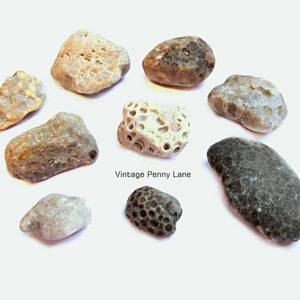 Alaska River Rocks River Rocks Bulk 3 Pounds Stones for Wedding