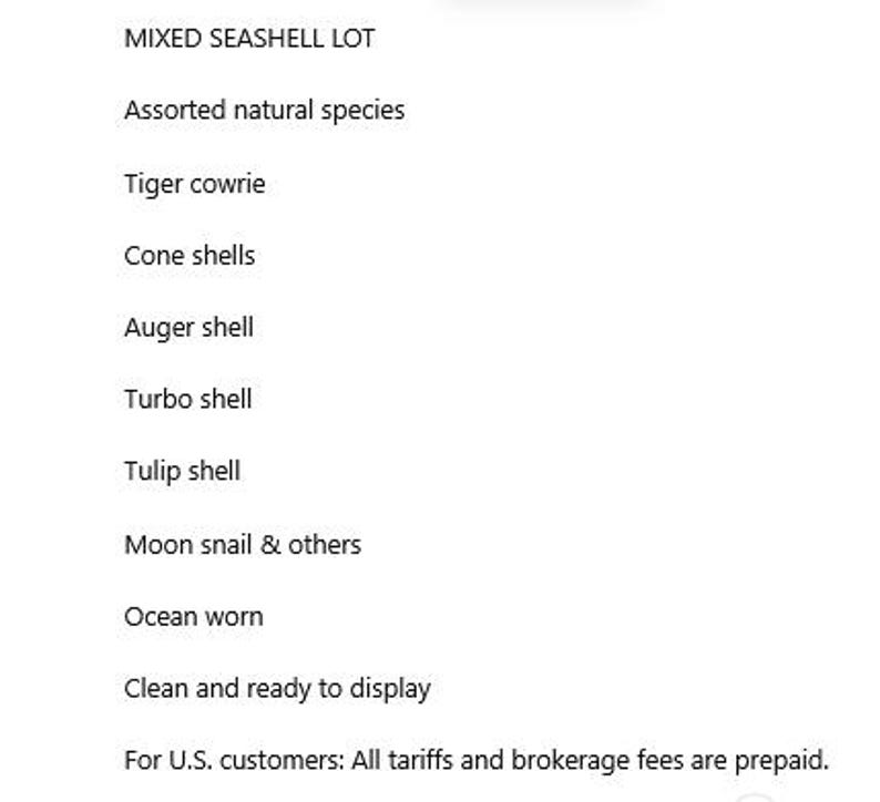 Mixed Natural Seashell Lot Tiger Cowrie Cone Auger Turbo Tulip Shells ...