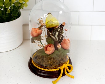 Preserved Butterfly Floral Arrangement | Vintage Insect Taxidermy | Dried Flowers in Glass Dome with Wood Base