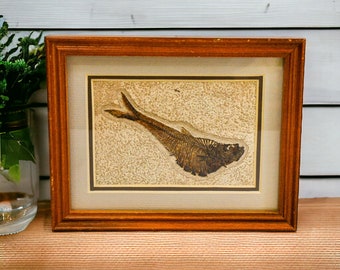 Vintage Artistically Framed Fossil Fish Knightia Era Eocaena Stone Slab Wall Hanging