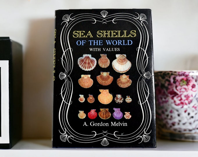 Sea Shells of the World With Values 1984 | Vintage Hardcover Book - Etsy