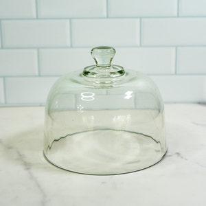 Vintage Glass Cloche Display Dome Bell Jar | Terrarium | Plant Cloche | Air Plant Cloche Fairy Garden