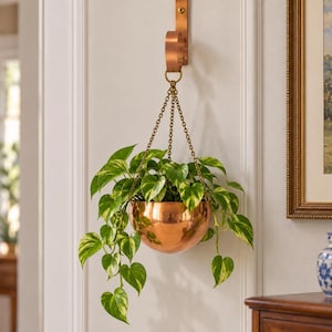 May include: A polished copper bowl planter suspended by three thin metal chains attached to a matching copper wall-mounted bracket. A trailing pothos plant with variegated green and yellow heart-shaped leaves grows from the bowl.