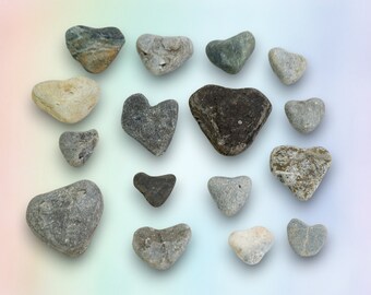 Bulk Lot Heart Shaped Beach Stones | Lake Ontario Rocks | Hand Picked Pebbles