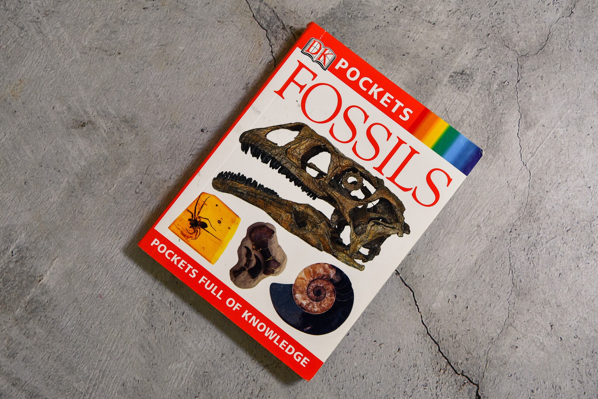 Fossil pocket books cheap