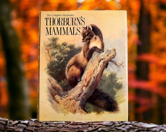 Complete Illustrated Thorburn's Mammals 1989 | Vintage Hardcover Art Nature Book