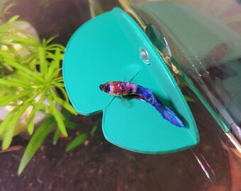 Betta Hammock Perch - Aquarium Fish Tank Resting Shelf - Lily Pad Ledge Decor