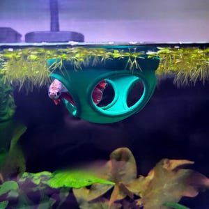 Floating Fish Feeding Ring, Betta Bed Rest Hammock, Plant Portal, Dome Shape Design, Aquarium Fish and Tank Accessory