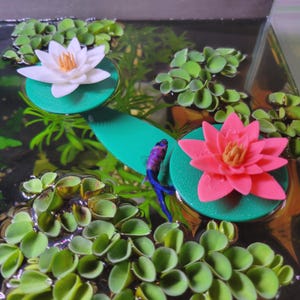 Floating Betta Leaf Hammock - Aquarium Fish Tank Perch - Resting Spot for Betta Fish