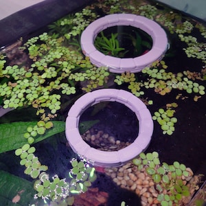 May include: Two lavender-colored, circular aquarium rings floating in a tank of water. The rings are made of a ridged plastic material. The water is filled with green aquatic plants and small pebbles at the bottom of the tank.