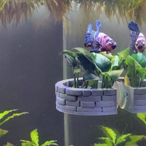 Aquarium Planter - Hanging Stone Well Style Plant Holder, Suction Cup Plant Basket