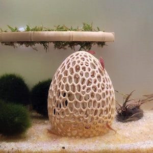 May include: A beige, egg-shaped aquarium ornament with a porous, honeycomb-like lattice structure. It sits on a sandy substrate alongside green moss balls and a horizontal bamboo-style platform topped with green moss, with small red shrimp.