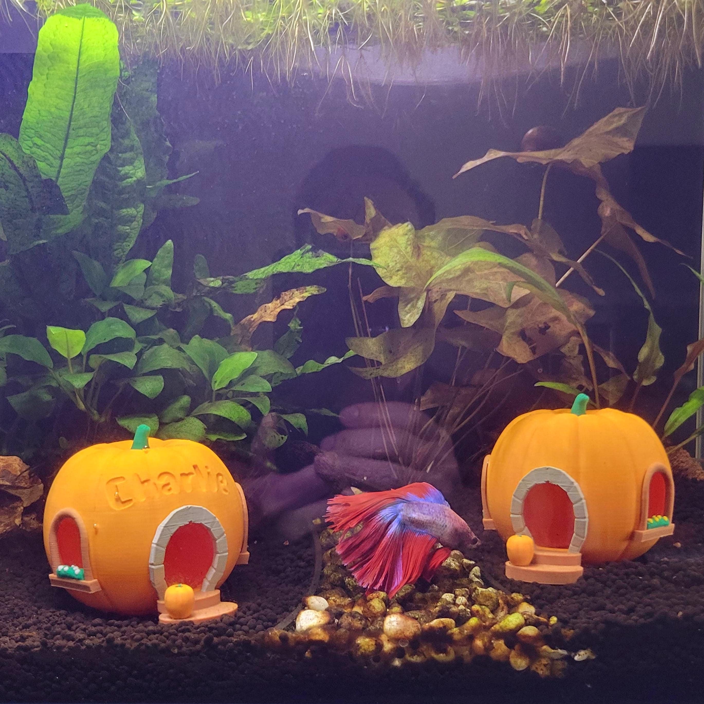 VILLFUL Pumpkin Ghost Aquarium Ornament - Fish Tank Hiding Cave Decor For Halloween Or Year-Round - View #9