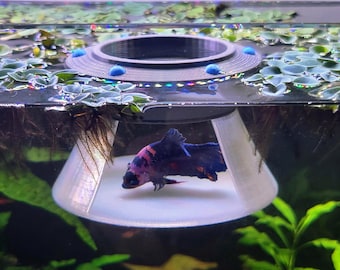 Betta Hammock & Perch – Floating UFO Aquarium Hide – Feeding Ring and Fish Tank Decor