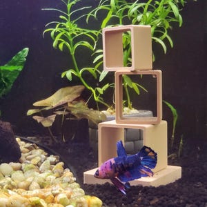 May include: A beige, three-tiered square cube structure for an aquarium, featuring open centers for fish to swim through. A multicolored betta fish with blue, purple, and orange scales swims in front of the base of the structure on dark gravel.