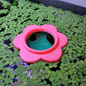 Floating Fish Feeding Ring, Betta Hammock & Hide, Colorful Plant Portal, Flower Design Aquarium Decor, Fish Tank Accessory