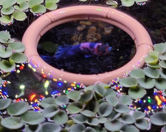 Floating Fish Feeding Ring – Bamboo Style Aquarium Plant Barrier and Corral, Fish Tank Decor