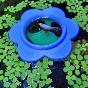 May include: A blue plastic flower-shaped fish feeder floating in a tank of water with green plants. A betta fish swims inside the feeder.