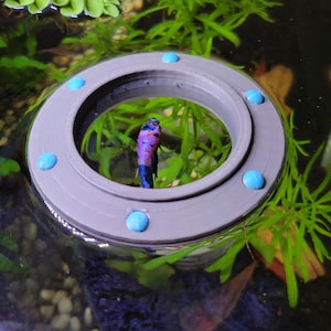 May include: A gray, circular aquarium accessory with six light blue accents surrounds a colorful betta fish. The fish has a blue, purple, and black body. Green aquatic plants are visible in the background.