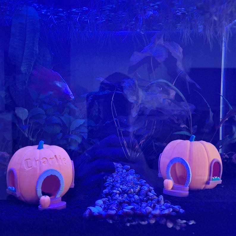 May include: Two orange pumpkin-shaped aquarium decorations with blue accents and the name "Charlie" on one. The decorations have arched doorways and are in an aquarium with a red fish and aquatic plants.