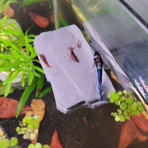 Betta Hammock Perch — Aquarium Fish Tank Resting Shelf — Stone Ledge Platform Decor
