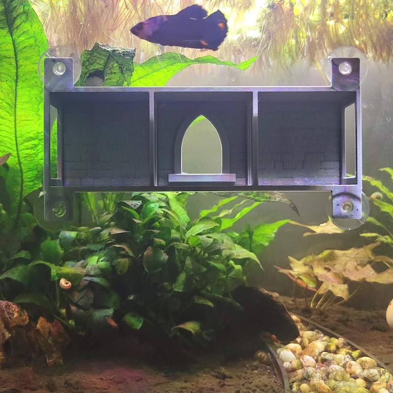 Gothic Fish Tank - Etsy