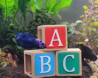 Alphabet Blocks Aquarium Hide – Betta Cave for Classroom Fish Tanks, Customizable Fish Shelter